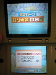 File:PokéPark Tsuri Taikai DS (Second Release).jpg